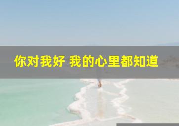 你对我好 我的心里都知道